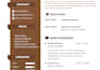 design a professional ats friendly resume and CV